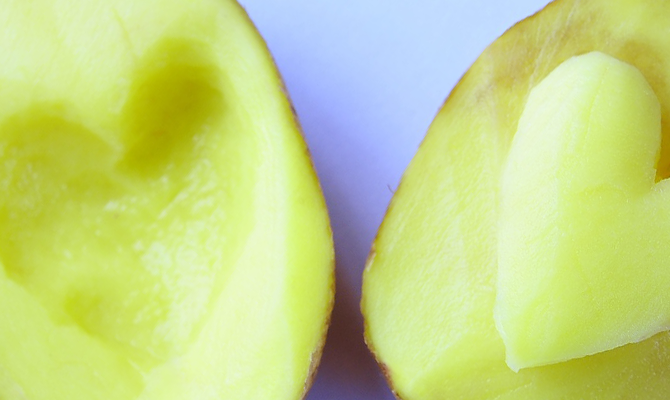 aardappelstempel head