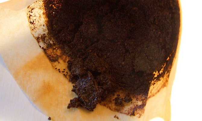 koffiedik header