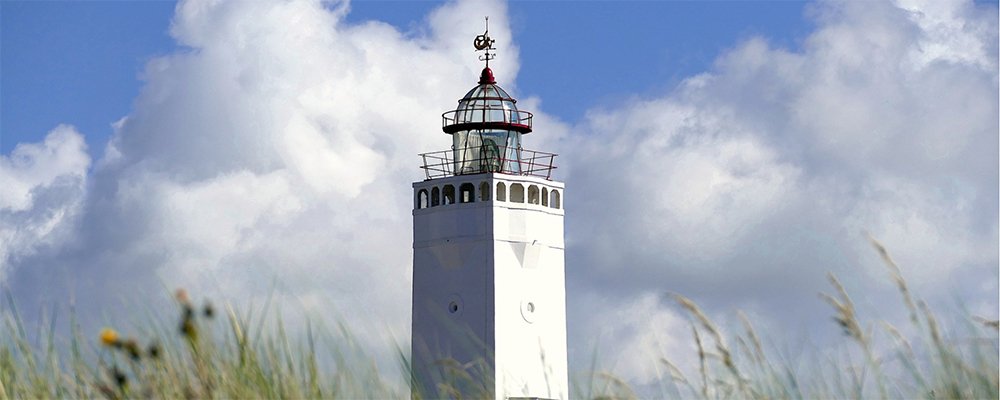 noordwijkerhout