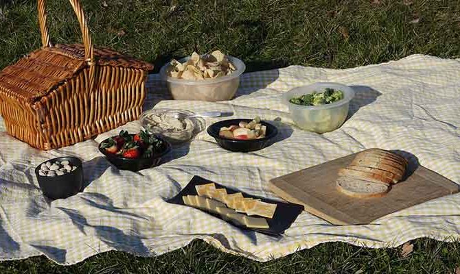 picknick tuin
