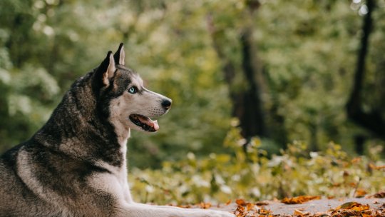 Depositphotos 210001620 S